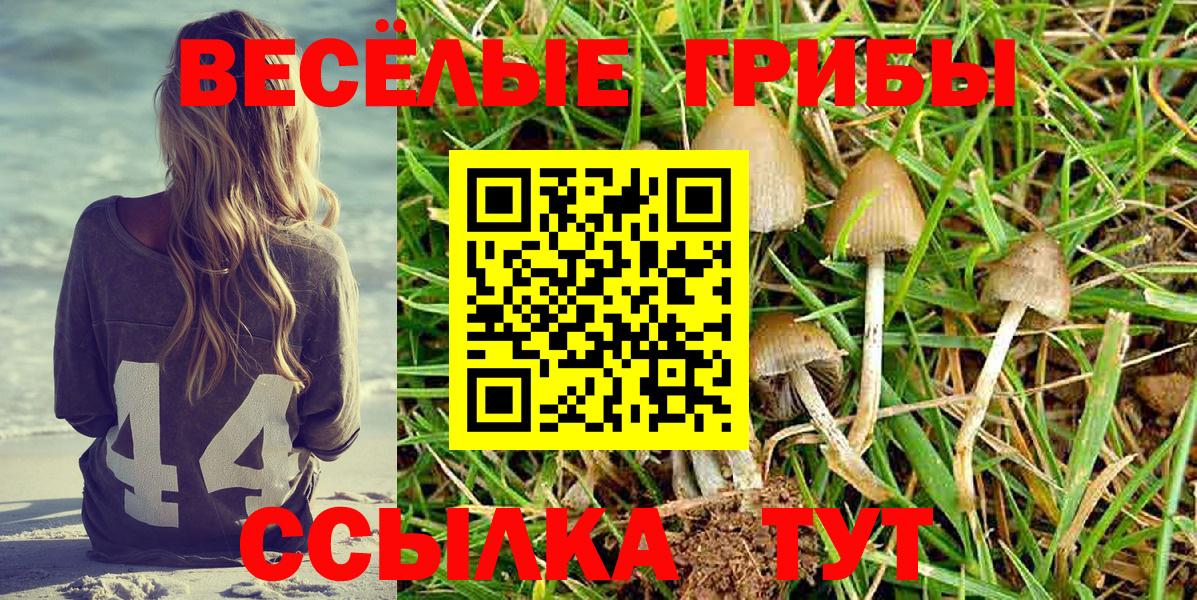 Псилоцибиновые грибы MAGIC MUSHROOMS Мичуринск